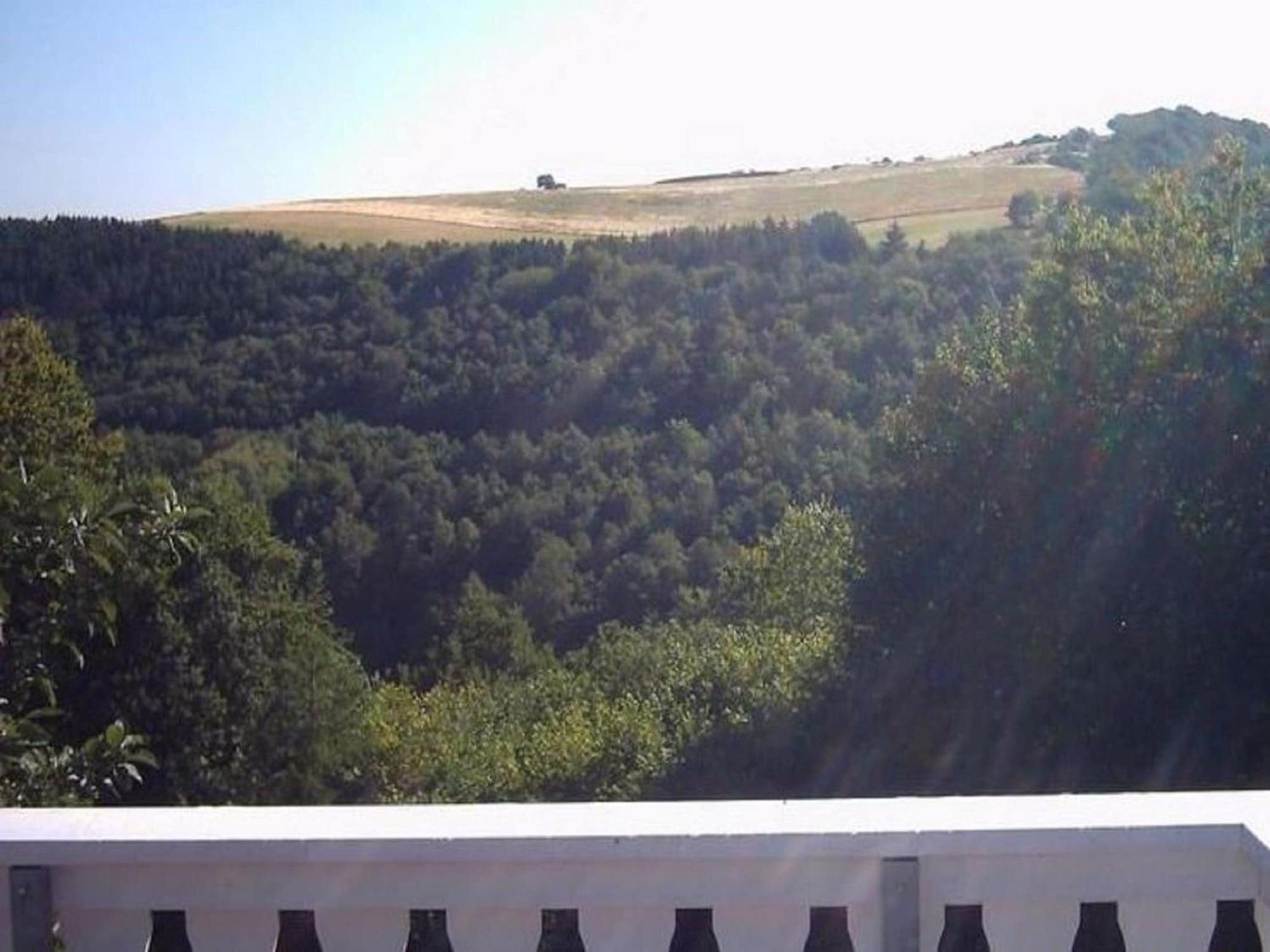 Charming Apartment In Morbach Germany With Terrace Thalfang Dış mekan fotoğraf